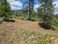 432 Quartz Rd, Newport, WA 99156 - photo 26