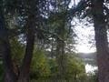 432 Quartz Rd, Newport, WA 99156 - photo 10
