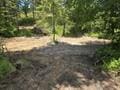 432 Quartz Rd, Newport, WA 99156 - photo 33