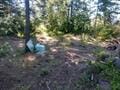 432 Quartz Rd, Newport, WA 99156 - photo 42