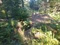 432 Quartz Rd, Newport, WA 99156 - photo 17