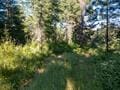 432 Quartz Rd, Newport, WA 99156 - photo 29