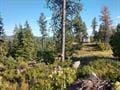 432 Quartz Rd, Newport, WA 99156 - photo 34