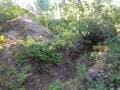 432 Quartz Rd, Newport, WA 99156 - photo 25