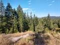 432 Quartz Rd, Newport, WA 99156 - photo 13