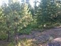 432 Quartz Rd, Newport, WA 99156 - photo 36
