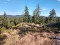 432 Quartz Rd, Newport, WA 99156 - photo 41
