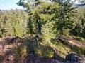 432 Quartz Rd, Newport, WA 99156 - photo 12