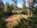432 Quartz Rd, Newport, WA 99156 - photo 27