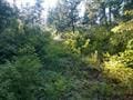 432 Quartz Rd, Newport, WA 99156 - photo 16