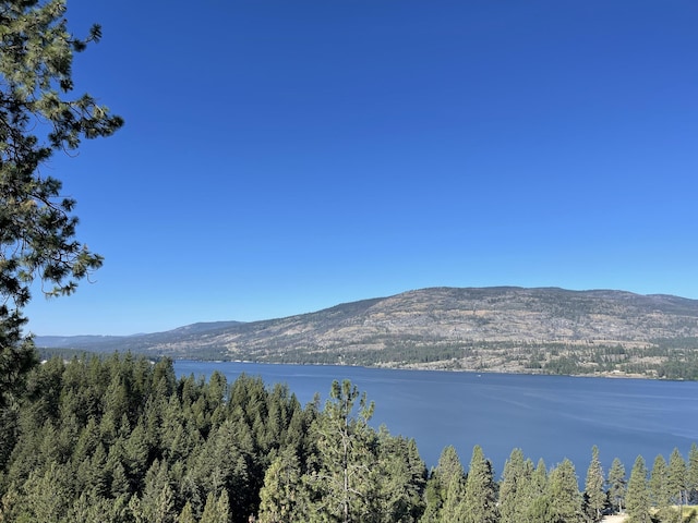 16XX Pingston Creek Rd, Kettle Falls, WA 99141 - photo 1