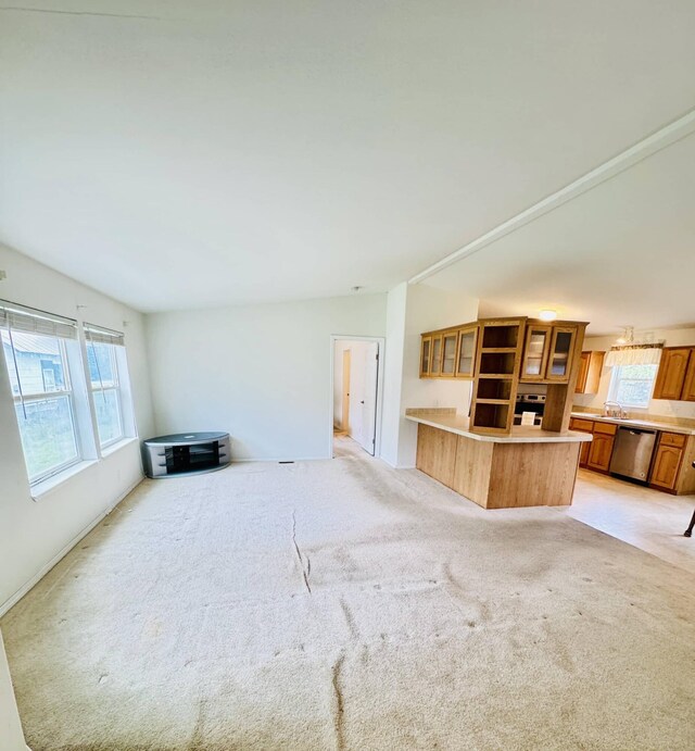 211 8th Ave, Ione, WA 99139 - unfurnished living room featuring plenty of natural light, light carpet, vaulted ceiling, and a sink