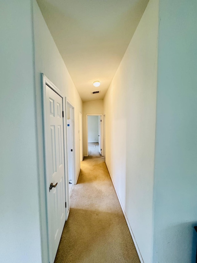 211 8th Ave, Ione, WA 99139 - hallway with light carpet