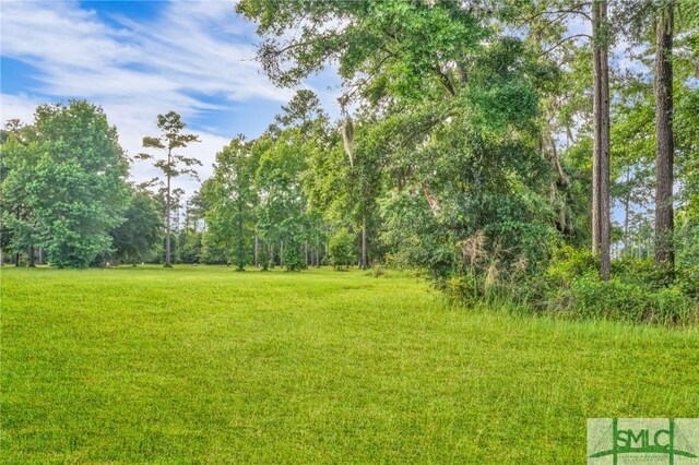 Listing photo 3 for LOT27 Baker Island Way, Townsend GA 31331