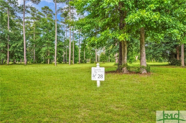 LOT28 Tranquility Pl, Townsend GA, 31331 land for sale