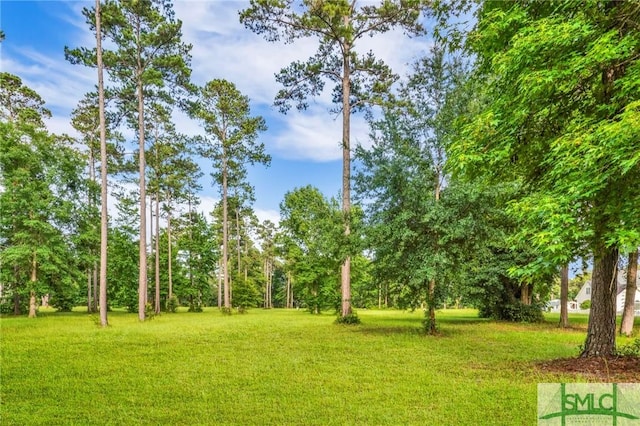 Listing photo 2 for LOT28 Tranquility Pl, Townsend GA 31331