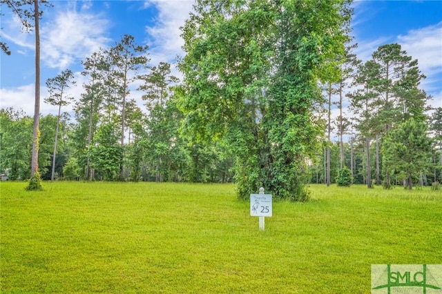 Listing photo 3 for LOT25 Baker Island Way, Townsend GA 31331