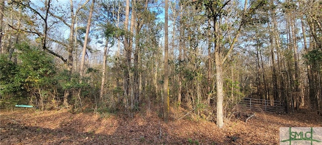 0 Pine Needle Dr, Ellabell GA, 31308 land for sale