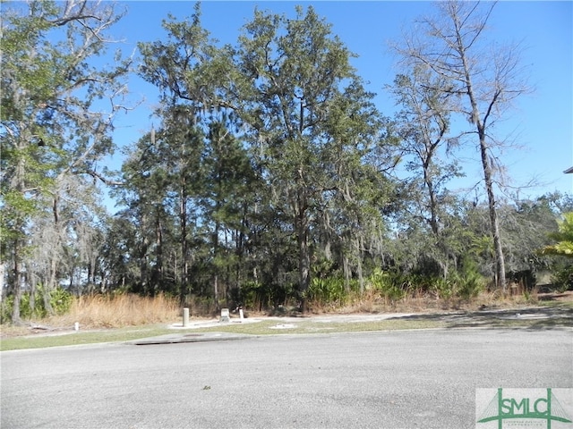 0 River View Ct, Waverly GA, 31565 land for sale