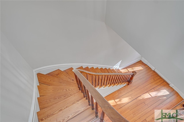 staircase featuring wood-type flooring