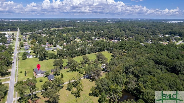 view of bird's eye view