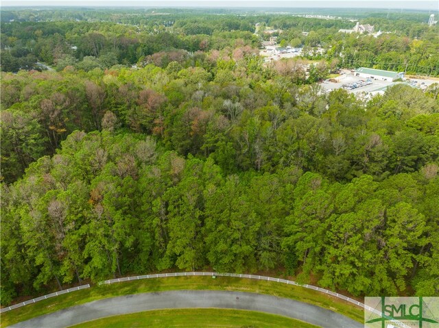 53 Orchard Cir, Richmond Hill, GA 31324 - photo 4
