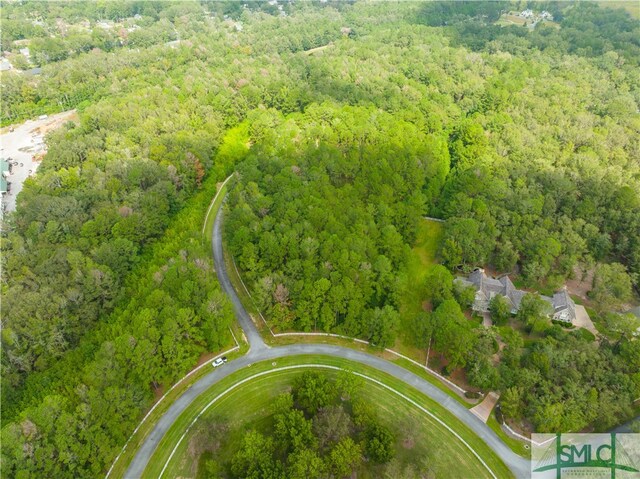 53 Orchard Cir, Richmond Hill, GA 31324 - photo 7