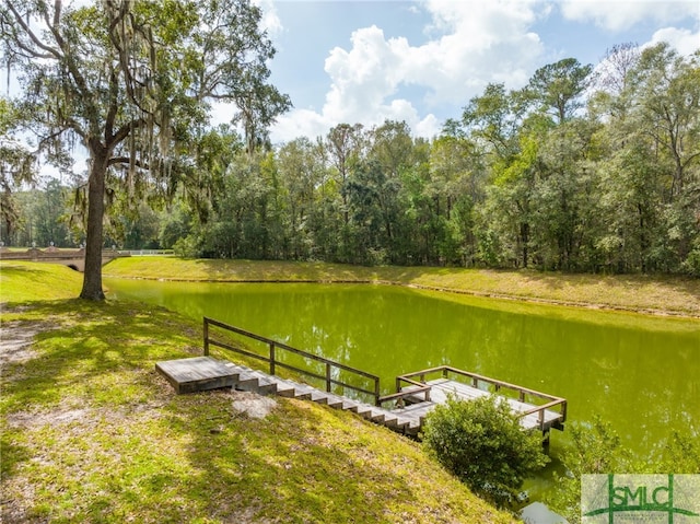 1438 Silk Hope Dr, Richmond Hill, GA 31324 - photo 6