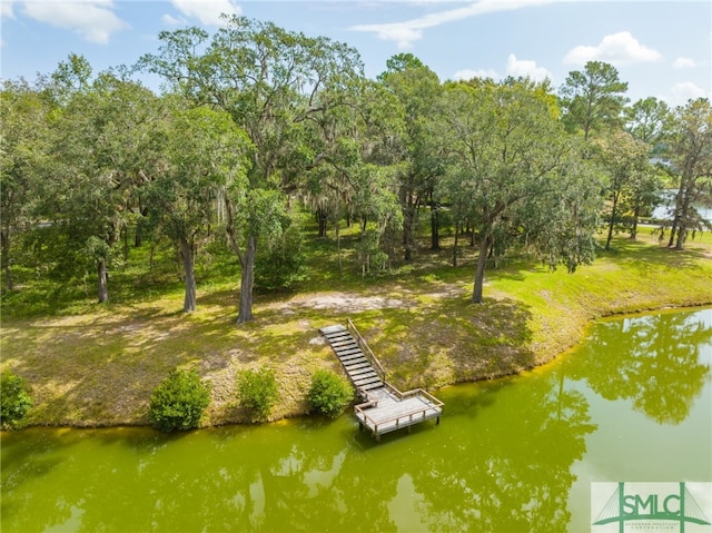 1438 Silk Hope Dr, Richmond Hill, GA 31324 - photo 7
