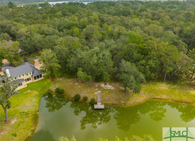 1438 Silk Hope Dr, Richmond Hill, GA 31324 - photo 9
