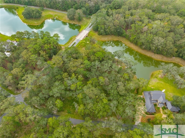 1438 Silk Hope Dr, Richmond Hill, GA 31324 - photo 11