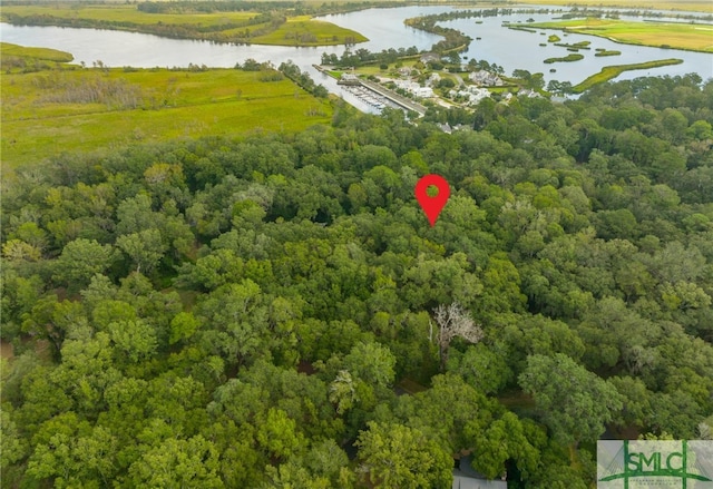 59 Big Oak Cir, Richmond Hill GA, 31324 land for sale