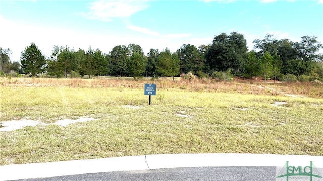 162 Greenhill Close Close, Pooler GA, 31322 land for sale