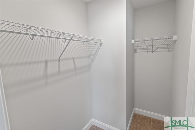 spacious closet featuring carpet floors