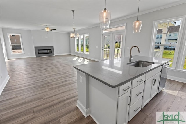 kitchen featuring a kitchen island with sink, a sink, white cabinetry, open floor plan, and dishwasher