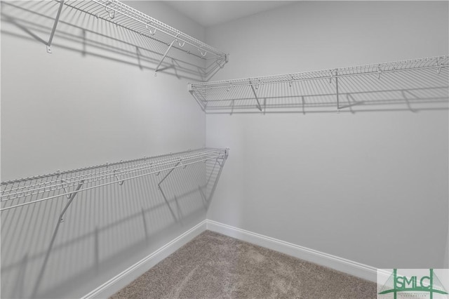 walk in closet featuring carpet