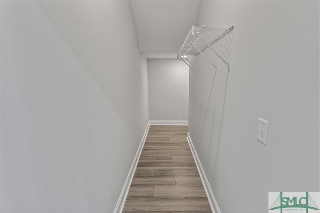 spacious closet featuring wood finished floors