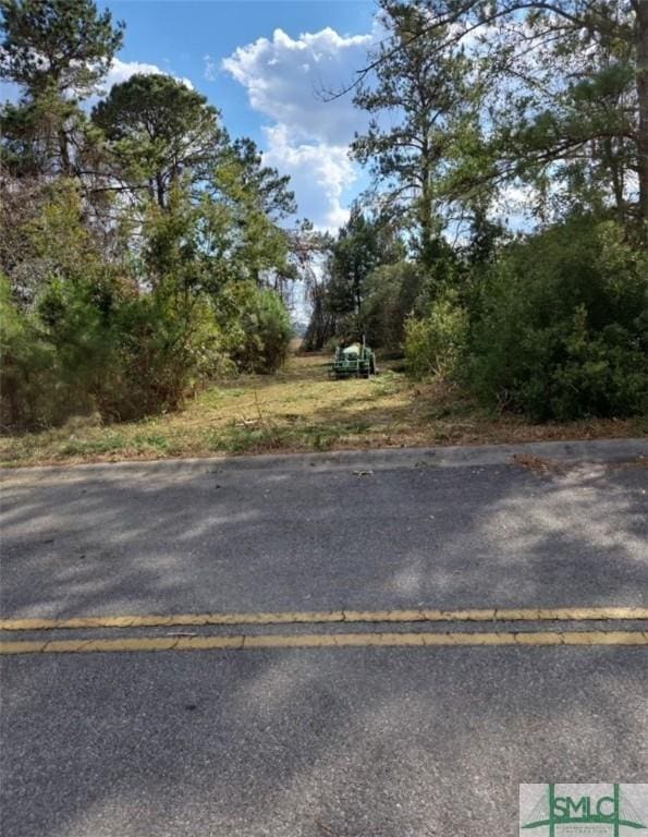 0 River Rd, Midway GA, 31320 land for sale