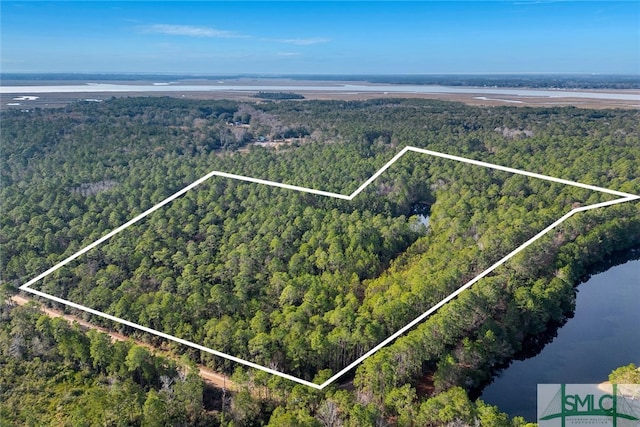 0 Steeple Chase Ln, Richmond Hill GA, 31324 land for sale