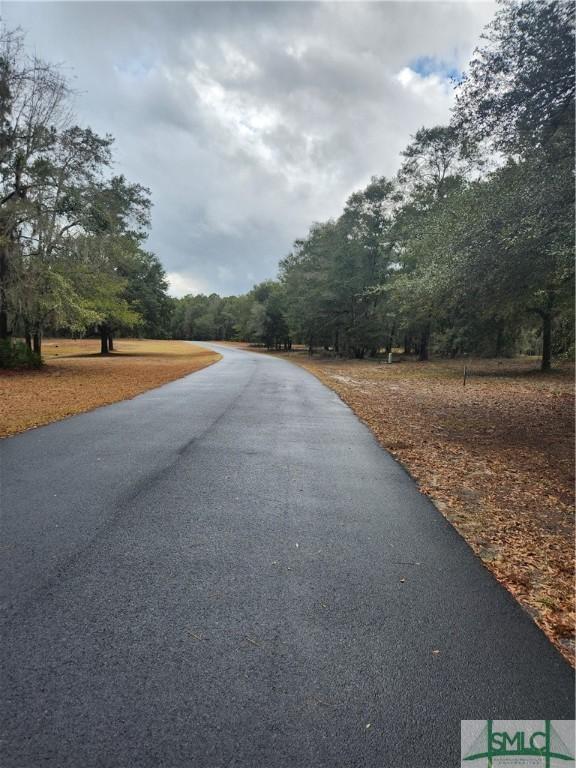 RD1 Coopers Point St, Townsend, GA 31331 - photo 3