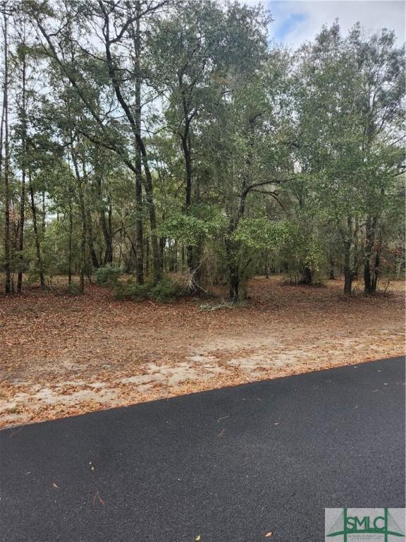 RD1 Coopers Point St, Townsend, GA 31331 - photo 5