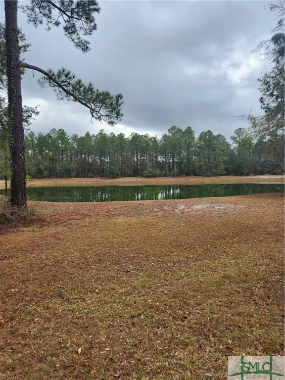 RD1 Coopers Point St, Townsend, GA 31331 - photo 6