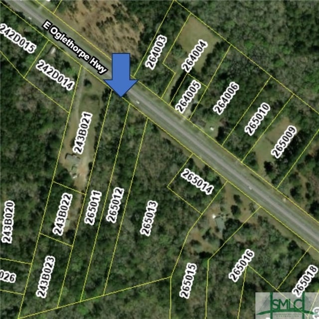 13225 E Oglethorpe Hwy, Midway GA, 31320 land for sale