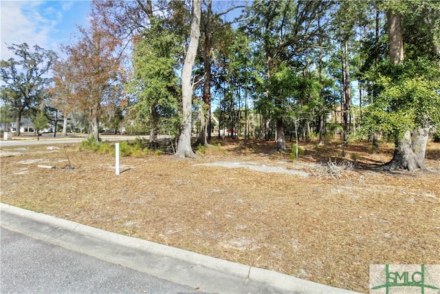 2 Hickory Ct, Pooler GA, 31322 land for sale