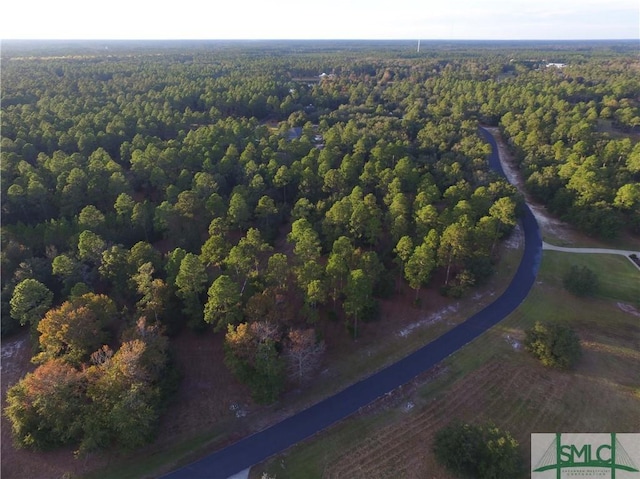 LOT71 Coopers Point Dr, Townsend, GA 31331 - photo 3