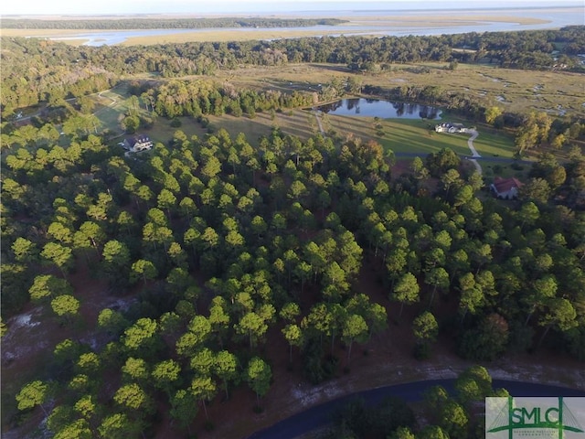 LOT71 Coopers Point Dr, Townsend, GA 31331 - photo 2
