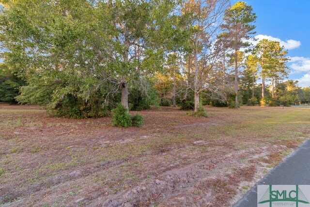 LOT71 Coopers Point Dr, Townsend, GA 31331 - photo 4