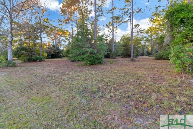LOT71 Coopers Point Dr, Townsend, GA 31331 - photo 5