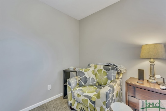 living area featuring carpet flooring