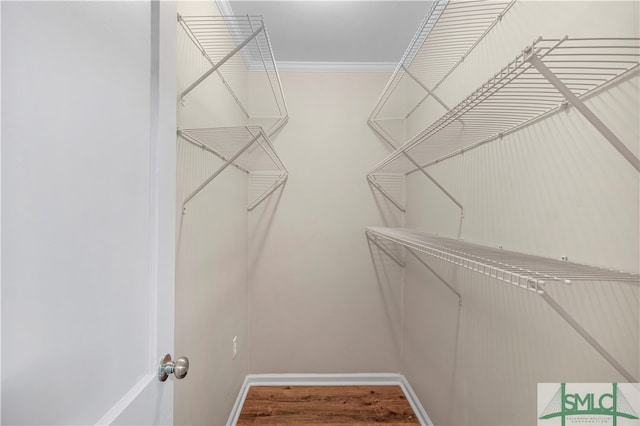 walk in closet with wood-type flooring